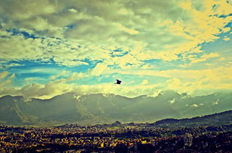 Image Image